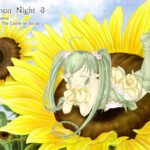 マルルゥ